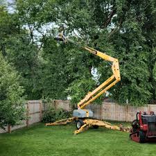Best Tree Maintenance Programs  in Watonga, OK