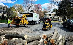 Best Lawn Disease Treatment  in Watonga, OK