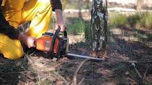 Best Soil Testing and Treatment  in Watonga, OK