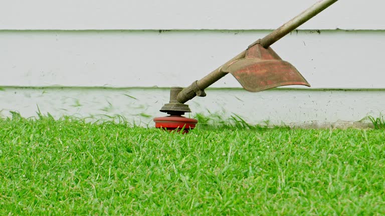 Best Tree Removal  in Watonga, OK