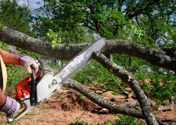 Best Aeration Services  in Watonga, OK
